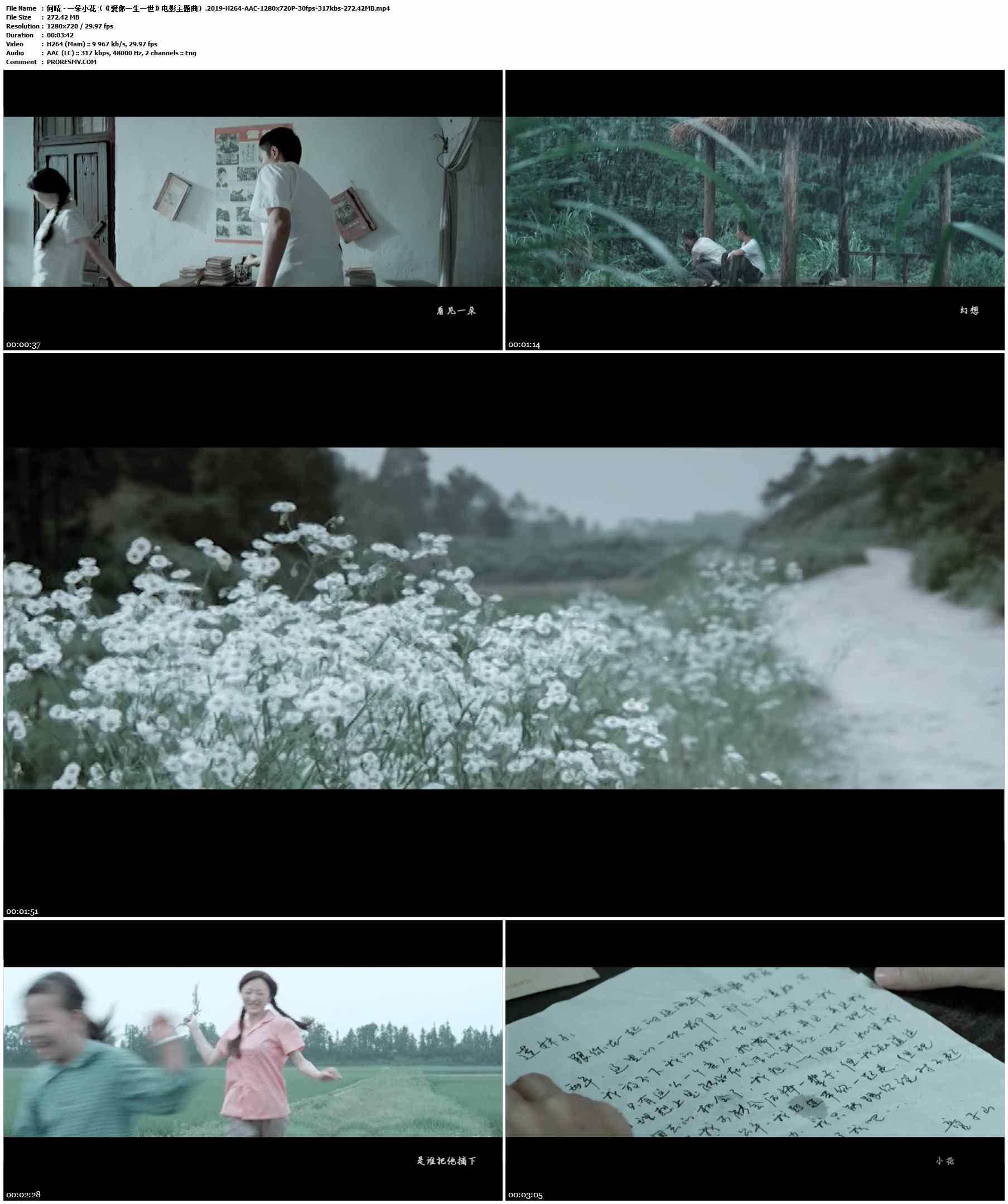 何晴 - 一朵小花（《爱你一生一世》电影主题曲）.2019-H264-AAC-1280x720P-30fps-317kbs-272.42MB官方MV_高清MV